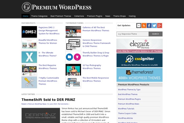 Site using Wp-rich-snippets plugin