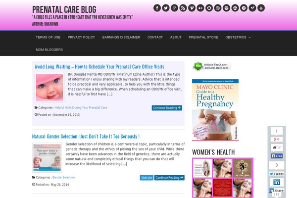 Covert PinPress theme site design template sample