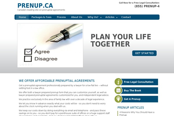 NANCY theme site design template sample