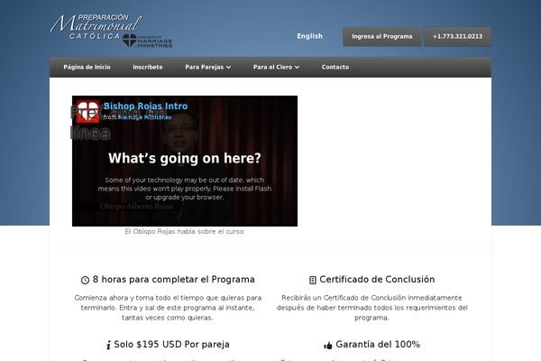 Nexus Child theme site design template sample