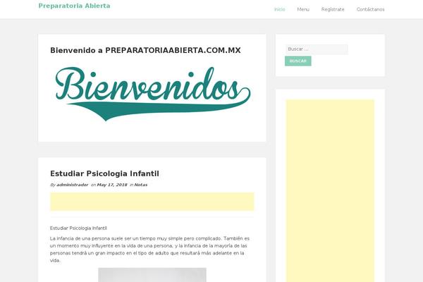 Shaped Blog theme site design template sample