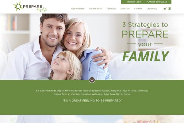 Ro theme site design template sample