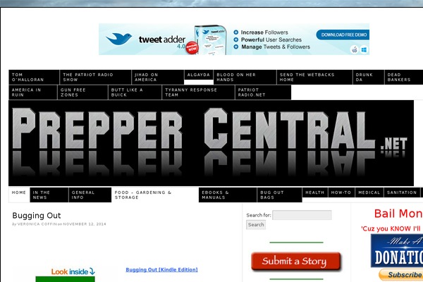 Site using BNS Add Widget plugin