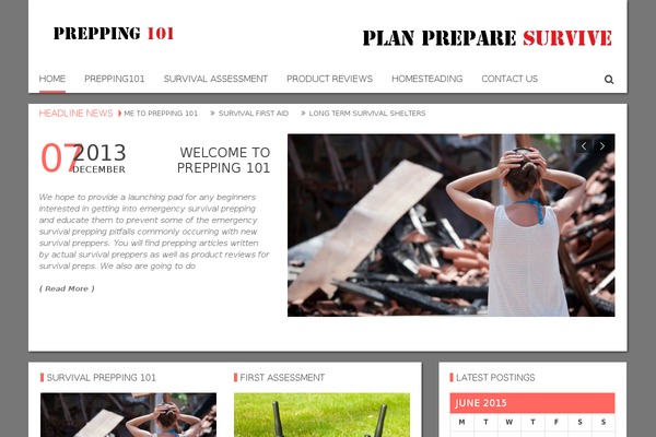 Realnews theme site design template sample