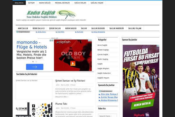 Silver Mag Lite theme site design template sample