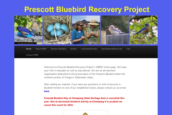 Twentyeleven-child theme site design template sample