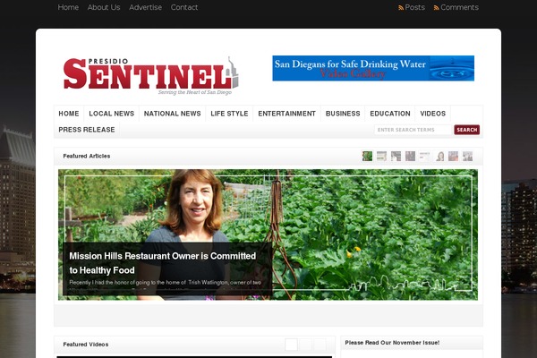 Site using Dzs-videogallery plugin
