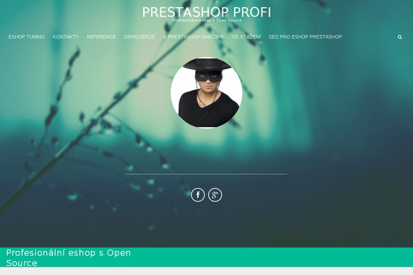 Site using Contact Form 8 plugin