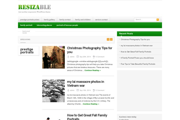 Resizable theme site design template sample