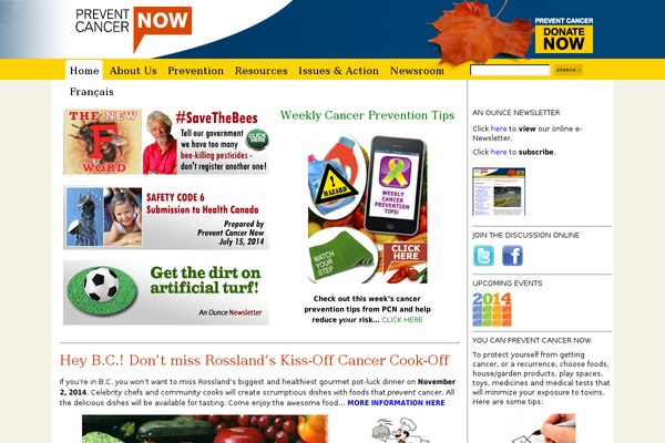 Pcn theme site design template sample