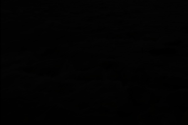 Selfless theme site design template sample