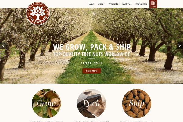 Dynamo theme site design template sample
