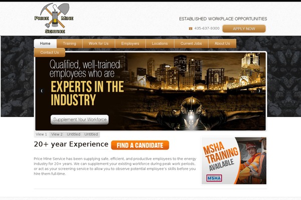 pricemineservice.com site used Ydg-v3.2