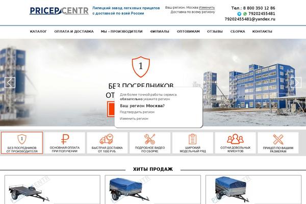 Professional theme site design template sample