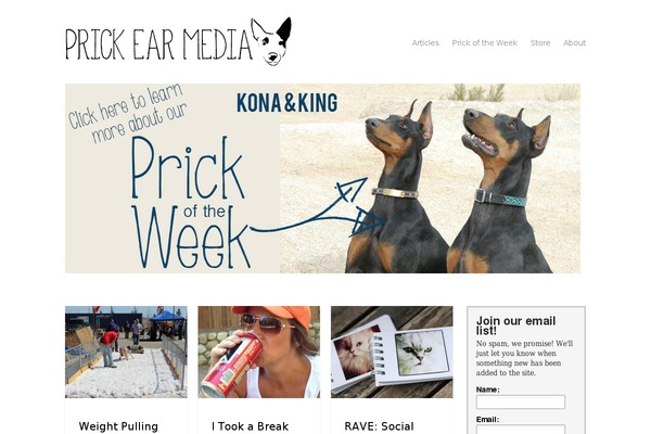 Clean theme site design template sample