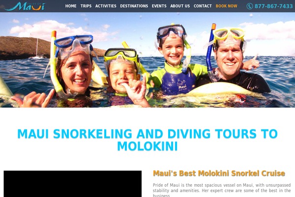 zeitgeist theme websites examples