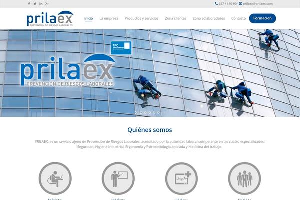 Omega theme site design template sample