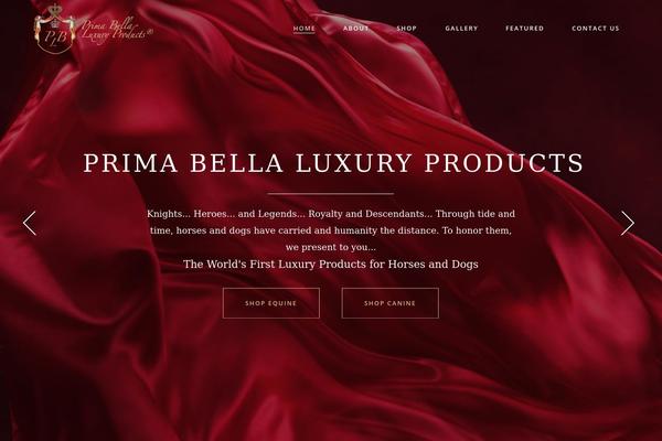 Aviana theme site design template sample