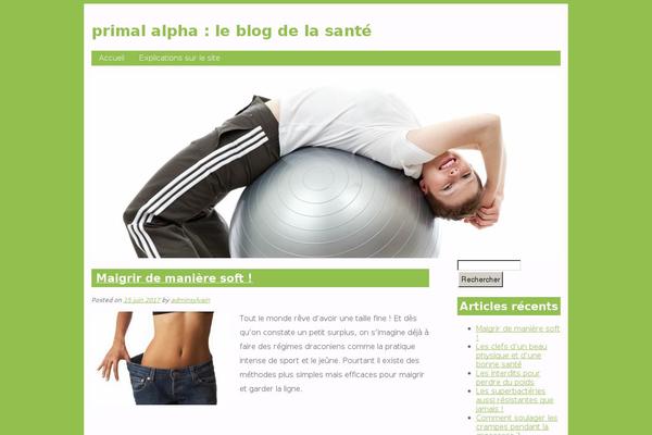 PersonalTrainer theme site design template sample
