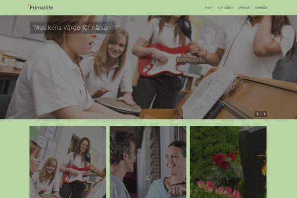 Snapshot theme site design template sample