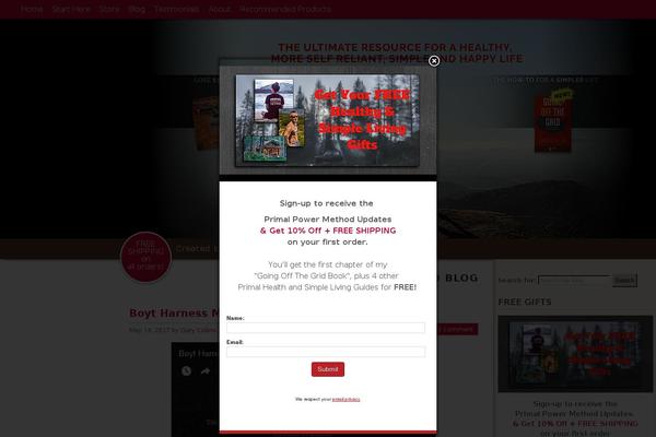 Site using MediaElement.js - HTML5 Video & Audio Player plugin