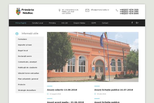 Consulting theme site design template sample