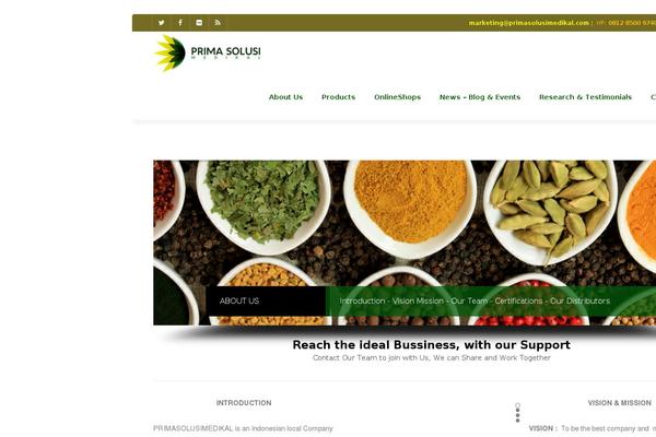 Smartco_child theme site design template sample