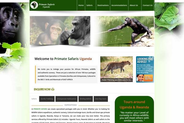 PRO Business theme site design template sample