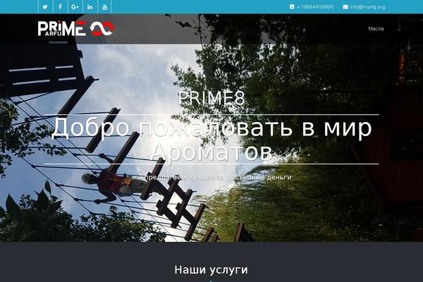 Site using Wp-yandex-metrika plugin