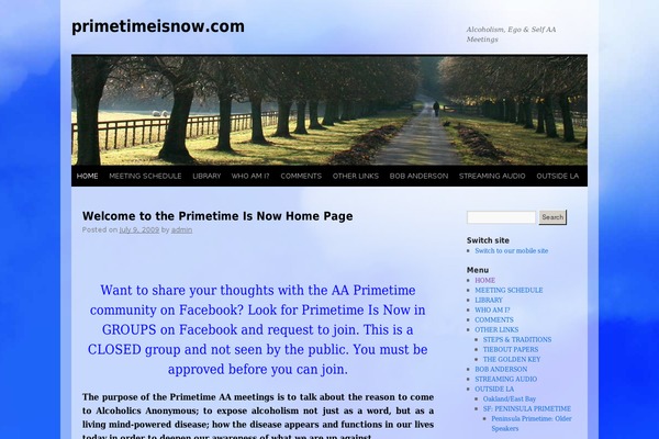 Site using Audio Player plugin