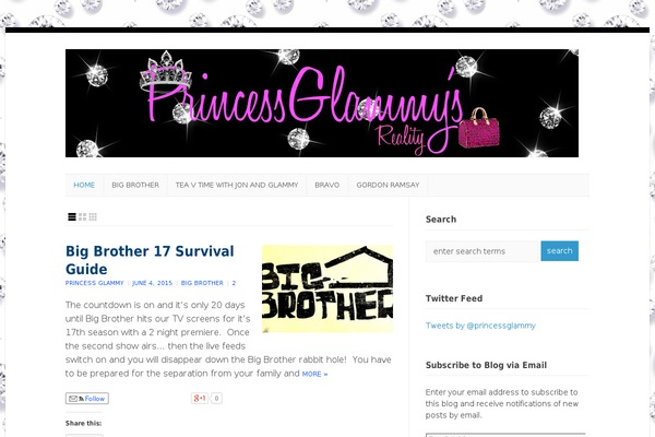 Wp Enlightened theme site design template sample