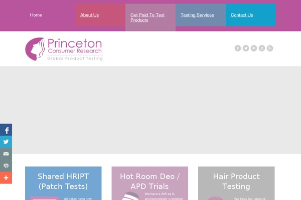 princetonconsumer.com site used Leskanor