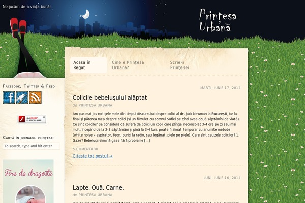 Sinatra Child Theme theme site design template sample