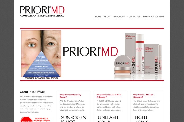 Solid Wp theme site design template sample