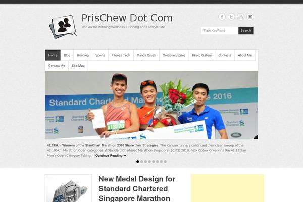 Simple Catch Pro theme site design template sample