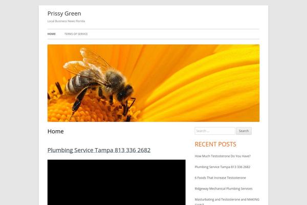 Tiny Framework theme site design template sample