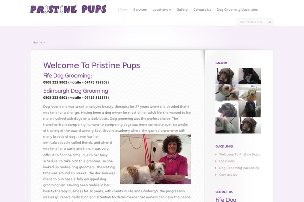 Leanbiz theme site design template sample