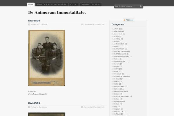 Blackoot Lite theme site design template sample