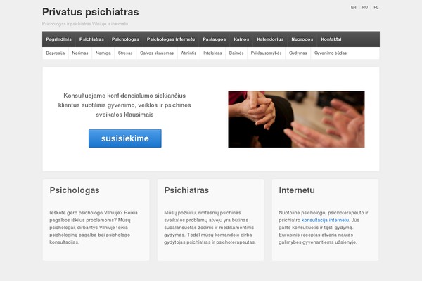 WordPress website example screenshot