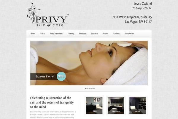 Aviana theme site design template sample