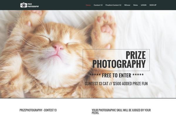 Divi theme site design template sample