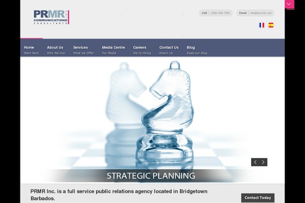 Infringe theme site design template sample