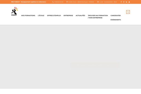 Site using Gtm-cf7-bridge plugin