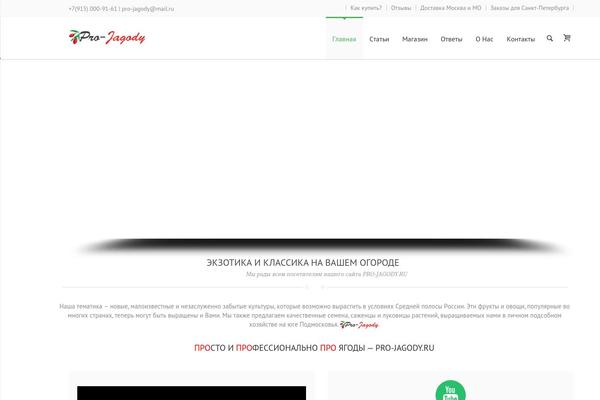 pro-jagody.ru site used Lexon