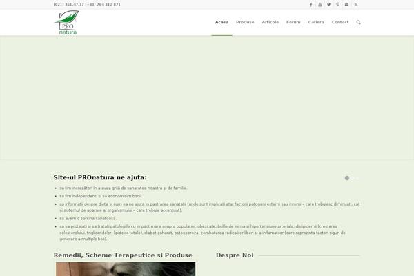 Site using Transposh WordPress Translation plugin