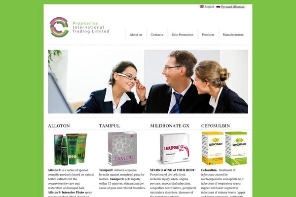 RT-Theme 11 theme site design template sample