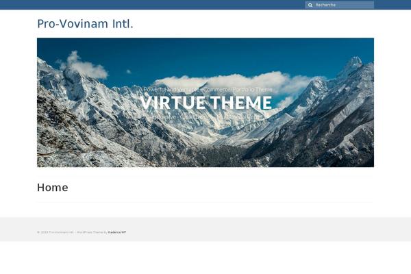 Virtue theme site design template sample