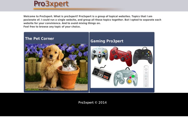 Pets theme site design template sample