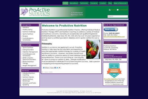Atahualpa353 theme site design template sample