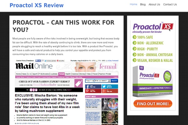 Focusblog theme site design template sample